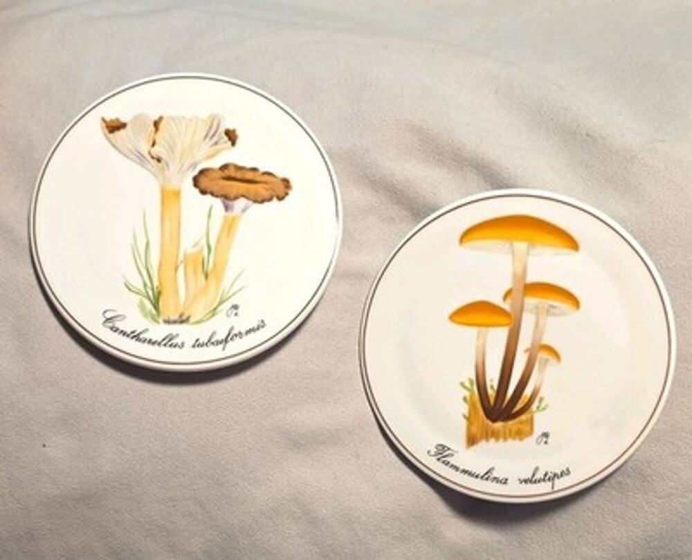 Bing & Grondahl Set of 2 Mushroom Trivets/Wall Hanging Plates Porcelain 5¾"